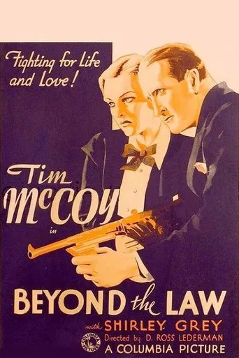 Beyond the Law poster