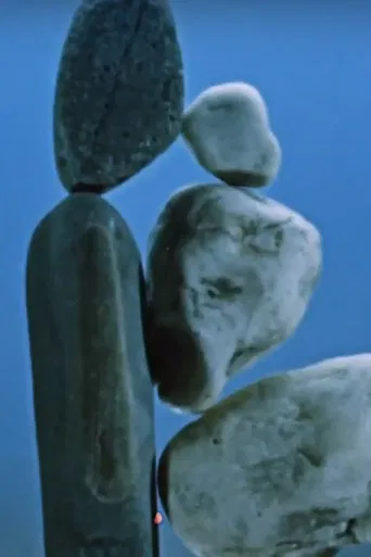 Kámen a život poster