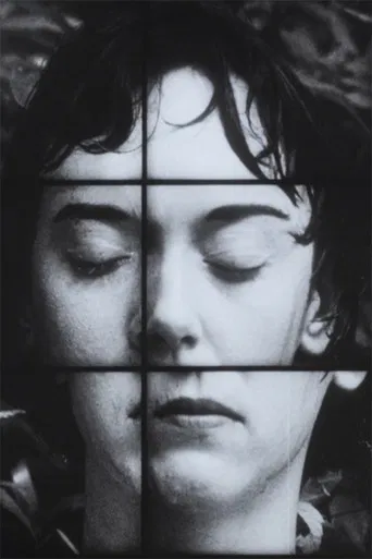 A Temporary Arrangement poster