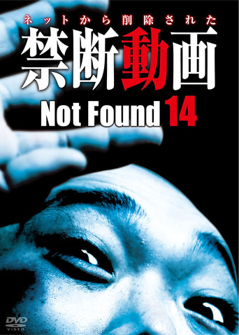 Not Found 14 poster
