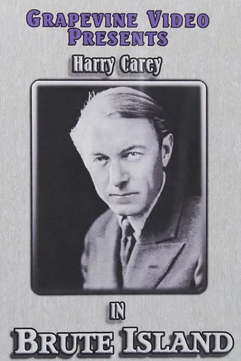 McVeagh of the South Seas poster