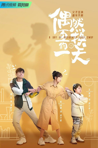 A Day of Accidently Body Swap poster