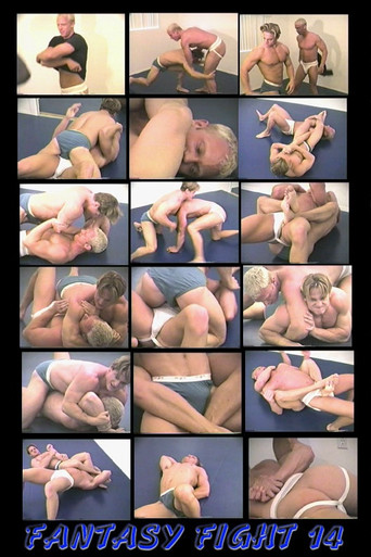 Fantasy Fight 14 poster