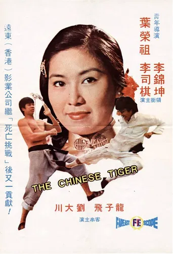 The Chinese Tiger poster