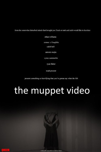The Muppet Video poster