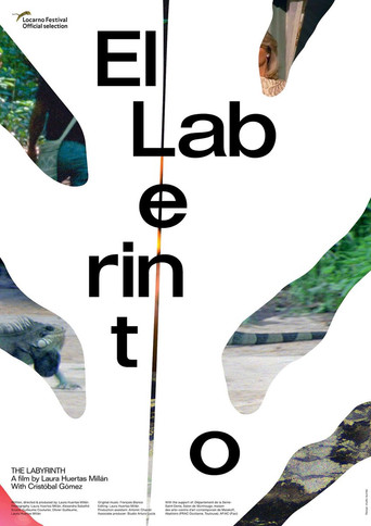 The Labyrinth poster