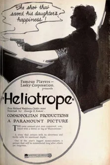 Heliotrope poster