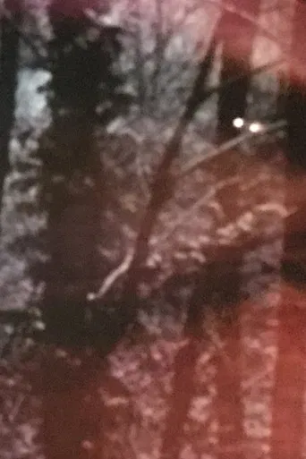 Il Lago Azzurrino poster