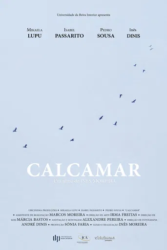 Calcamar poster
