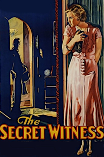 The Secret Witness poster