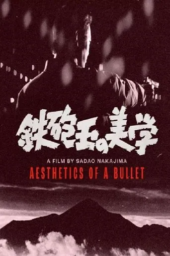 Aesthetics of a Bullet poster