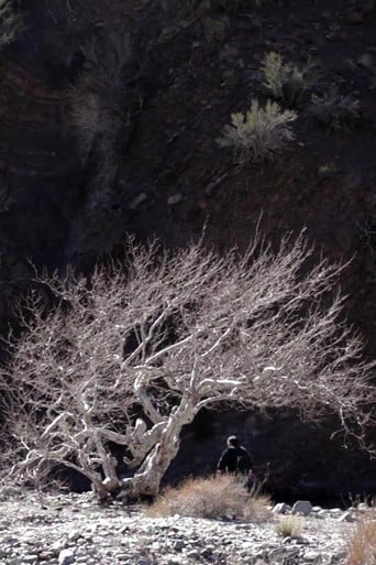 Paradise Springs poster