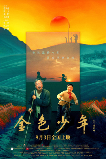 金色少年 poster