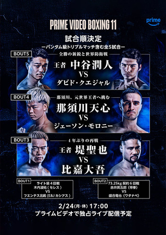 PRIME VIDEO BOXING 11 poster