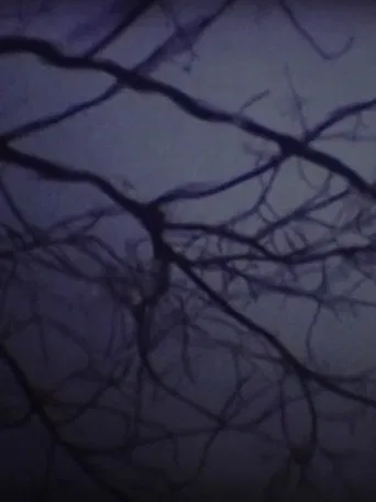 The Luminous Undergrowth poster