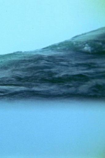 Translucent Appearances poster