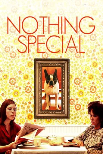 Nothing Special poster