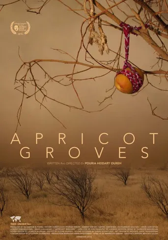 Apricot Groves poster