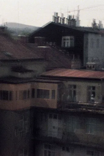 33/77 No Danube poster