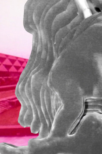 On the Nature of the Bone poster