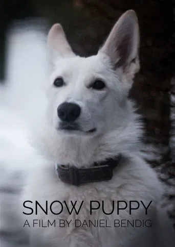 Snow Puppy poster