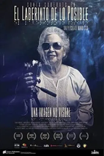 El laberinto de lo posible poster