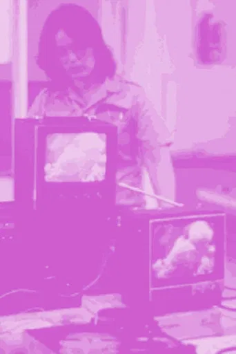 Not For Sale: Feminism and Art in the USA during the 1970s poster