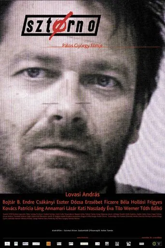 Sztornó poster