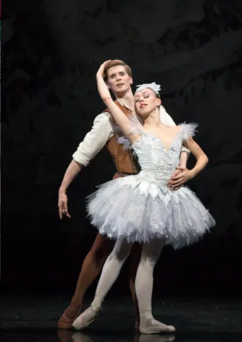 The Fairy's Kiss poster