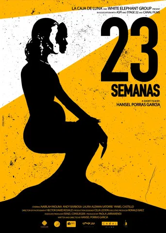 23 Semanas poster