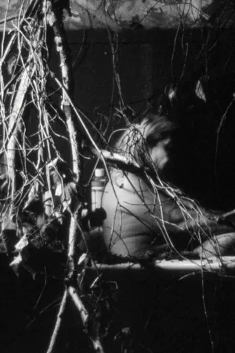 Days of doubt poster