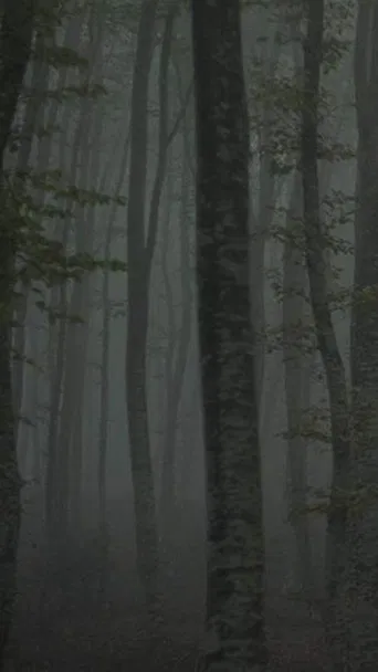 Refuge II: The Ice Path poster