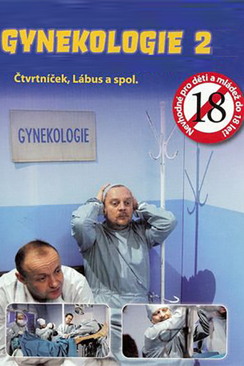 Gynekologie 2 poster