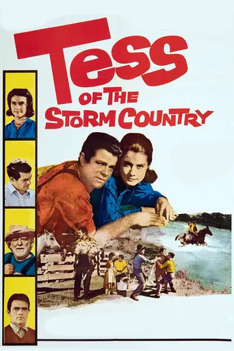 Tess of the Storm Country poster
