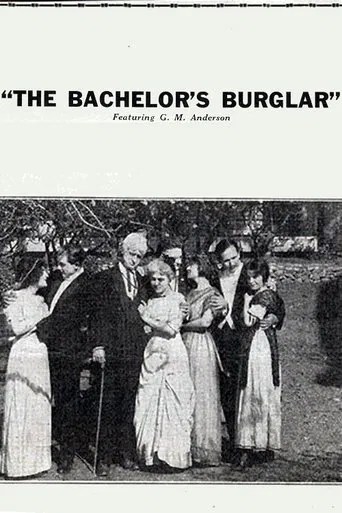 The Bachelor's Burglar poster