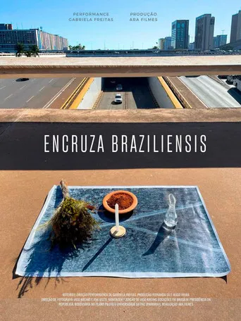 Encruza Braziliensis poster