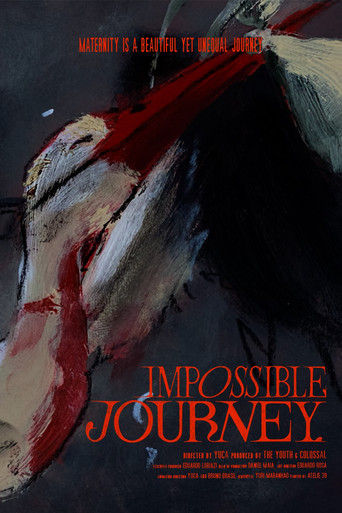 Impossible Journey poster