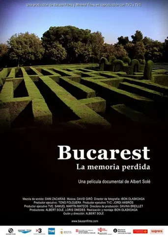 Bucarest, la memòria perduda poster