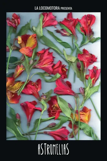 Astromelias poster