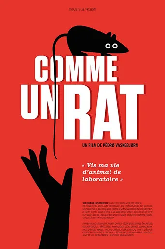 Comme un rat poster