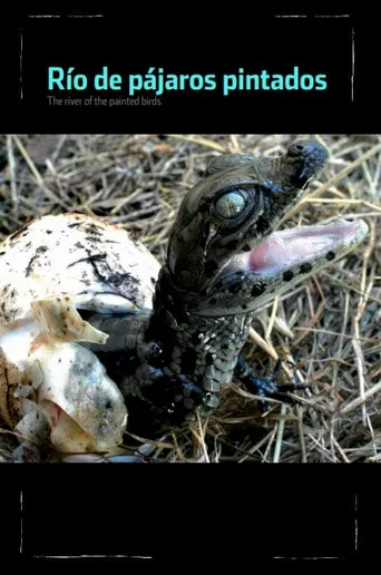 The River of the Painted Birds poster