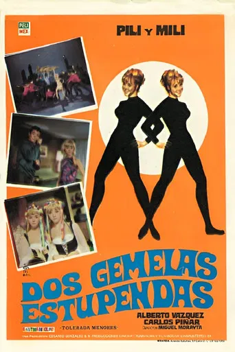 Dos gemelas estupendas poster