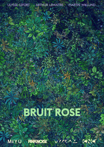 Bruit Rose poster