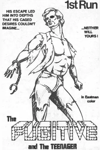 The Fugitive and the Teenager poster