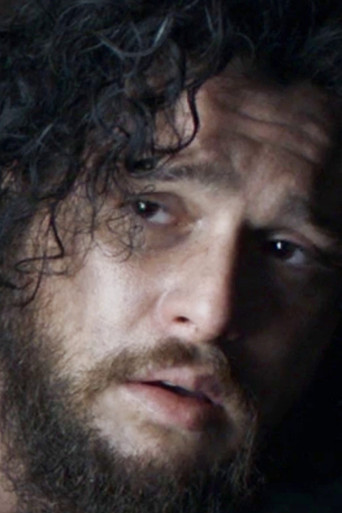 THE FAKE JON SNOW poster