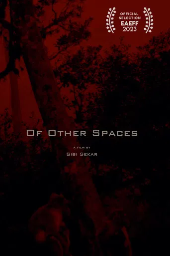 Of Other Spaces poster