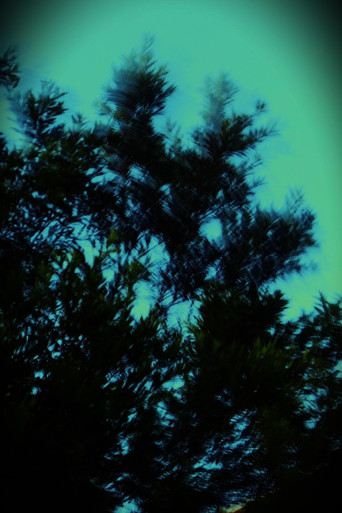 REGISTRANDO O TEMPO poster