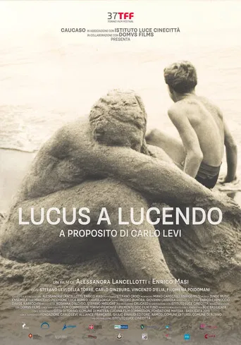 Lucus a Lucendo - A proposito di Carlo Levi poster