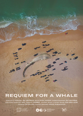 Requiem for a Whale poster