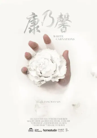 White Carnations poster
